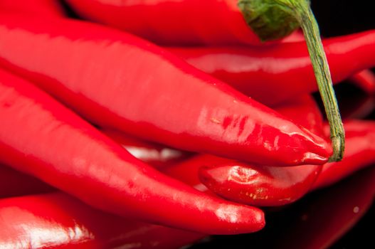 An image of red chilli pepper isolated