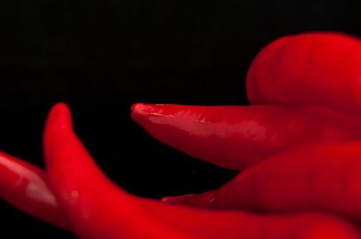 An image of red chilli pepper isolated