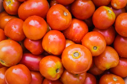 Organically Grown Fresh Red Cherry Tomatoes Background