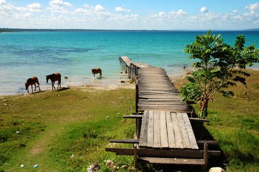 Pier on a Blue Lake with Horses in Guatemala