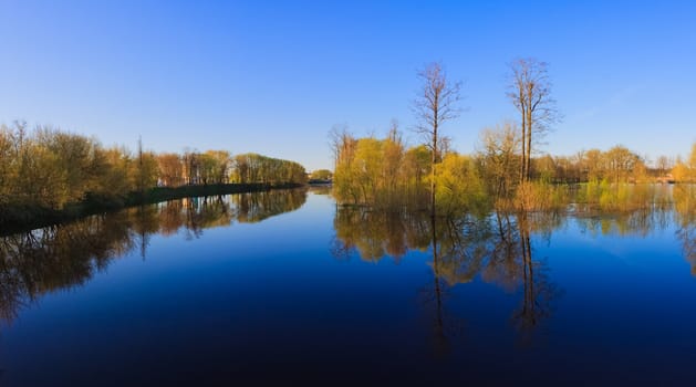 River And Spring Forest Reflection In Lake. Nature Composition.