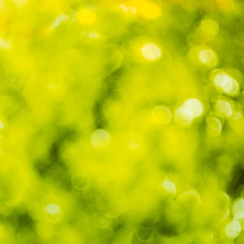 Blurred lights backdrop bright green. Spring bokeh. Abstract summer background