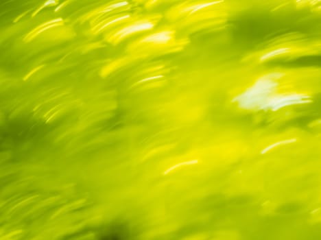 Blurred lights backdrop bright green. Summer dynamic bokeh. Abstract spring background.