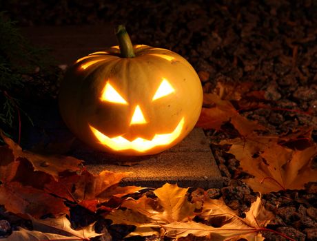 Halloween pumpkin glowing candle light in dark autumn garden