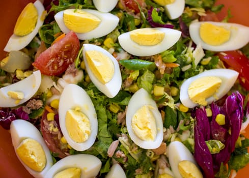 Spring salad of tomatoes, corn, scotch kale, eggs dressed with olive oil