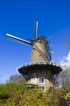 Beatiful Colored Windmill (full-length, vertical) in Alkmaar