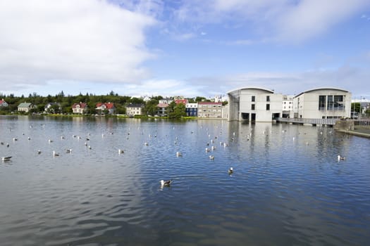 Pond in central Reykjavik