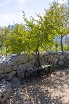 Bench under a tree in Dalmatia Mountains, Croatia