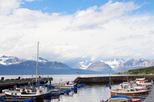 Arctic mountains and fjord in northern Norway at summer