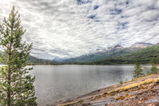 Northern  Norway landscape with fjord, mountains and forest