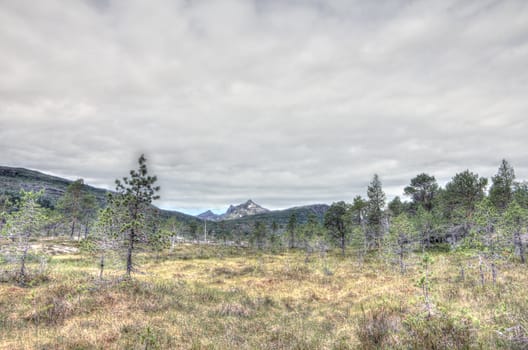 Norwegian tundra and mountains landscape in summer