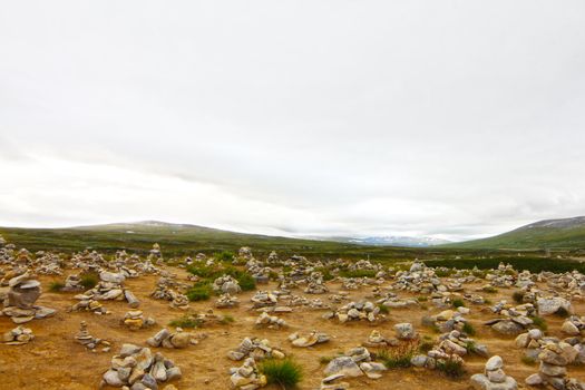 Arctic tundra landscape in northern Norway at summer