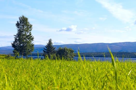 Beautiful landscape of Norway with grass field anf fjord