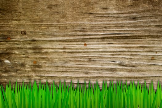 Grass and old wood background 