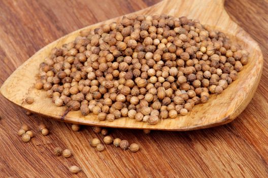 Heap of Dried Coriander Seeds in Wooden Spoon closeup on Wooden background