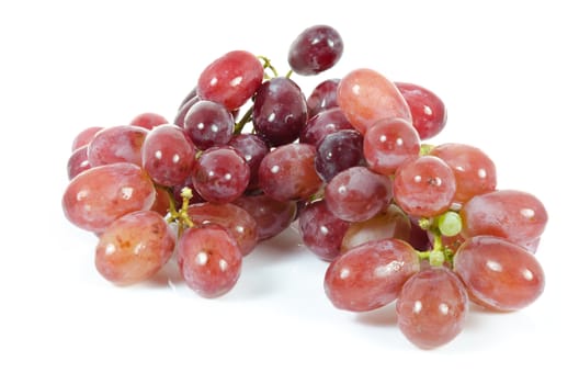 close up of grape fruits on white .