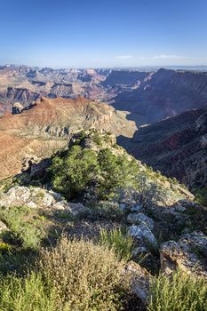 Vertical view of Grand Canyon, Arizona, USA 