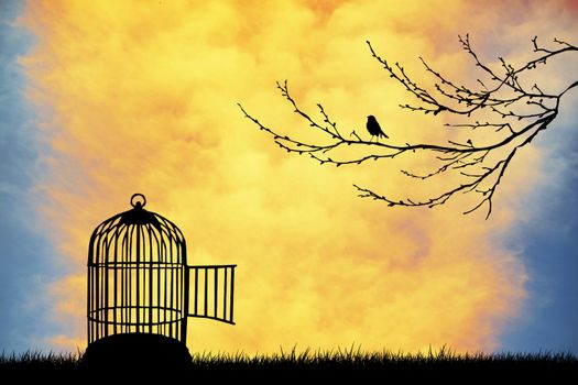 Bird cage at sunset