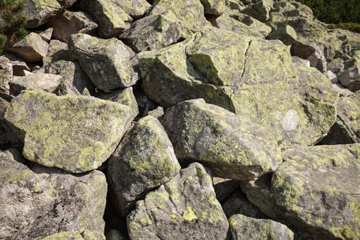 Moss-covered rocks in the High Tatras. Slovakia, Europe