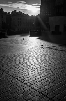 Abstract background of cobble stone road. Early morning shadows in old Krakow