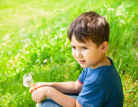 Little boy sits in the meadow on a sunny day and holding dandelion