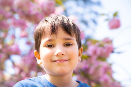 Happy little boy smiling on blurred cherry blossoms background.