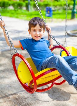 Joyful little boy swinging on a swing on a sunny day