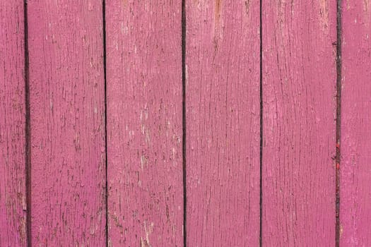 The Pink Grunge Wood Texture. Surface Of Old Wood Paint Over.