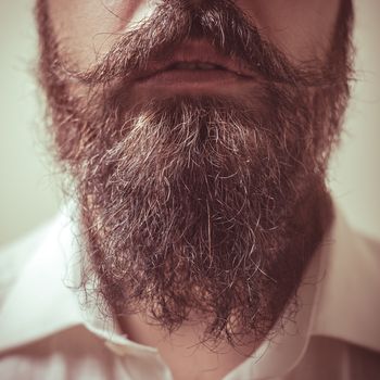 Close up of long beard and mustache man with white shirt