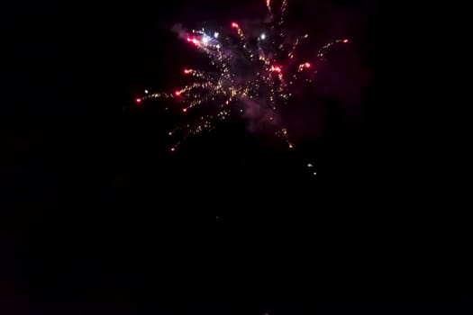 Beautiful fireworks on the black sky background