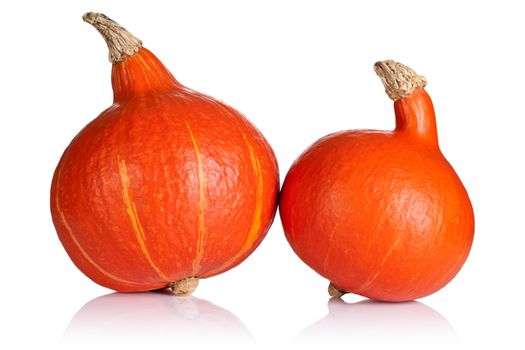 Orange pumpkins on white background. Fresh and ripe