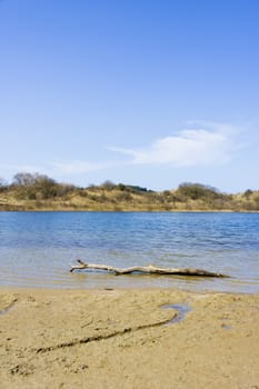 Lake, National Park Zuid Kennemerland, The Netherlands