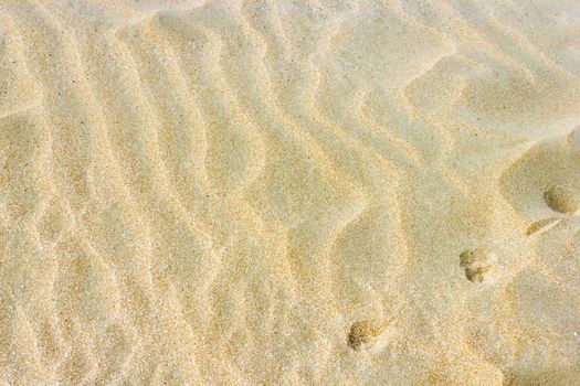 Sand Texture with traces