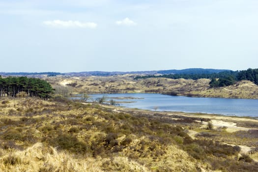 Lakes, National Park Zuid Kennemerland, The Netherlands