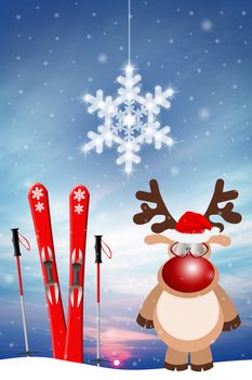 reindeer with ski for Christmas