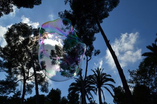 Beautiful bubble made by a street artist in a park in England floats through woodland.