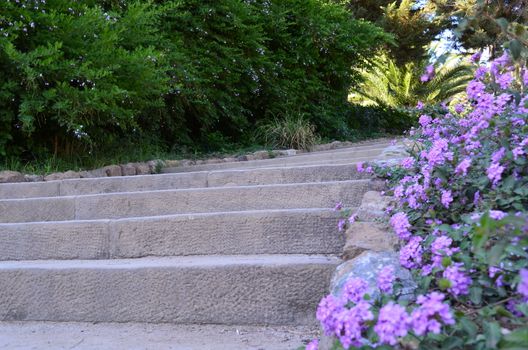 Curved stone steps edged with purple flowers in a public park.