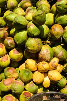 Group of coconuts.