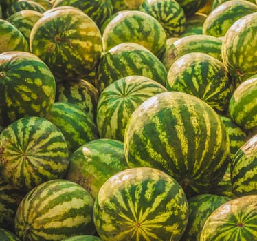 Heap of watermelons. Background