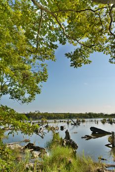 Landscape of old log pond, shot at Luodong Forestry Culture Garden, Yilan county, Taiwan.