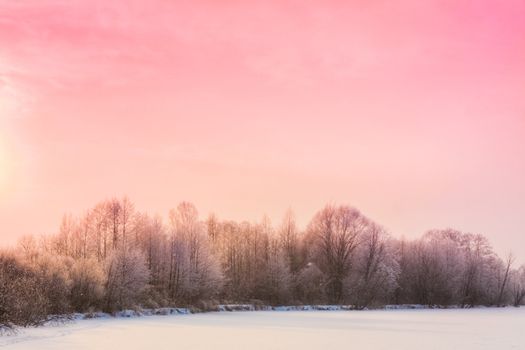 Landscape With A Winter Forest And Sundown