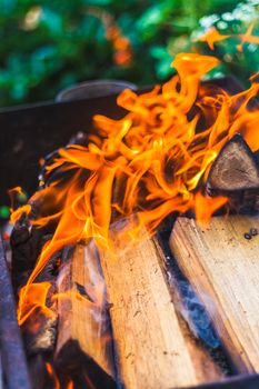 Hot, Red Burning Firewood Of Campfire