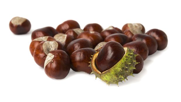 Handful of Buckeyes on a white background