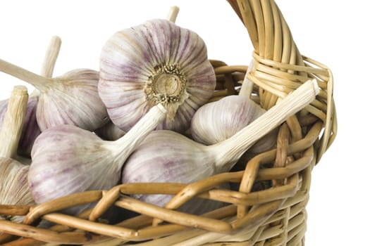 Large garlic bulbs in a wicker basket