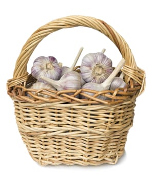 Garlic bulbs lie in a wicker basket