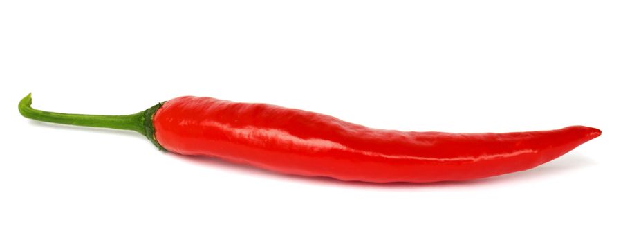 One pod of hot pepper on a white background