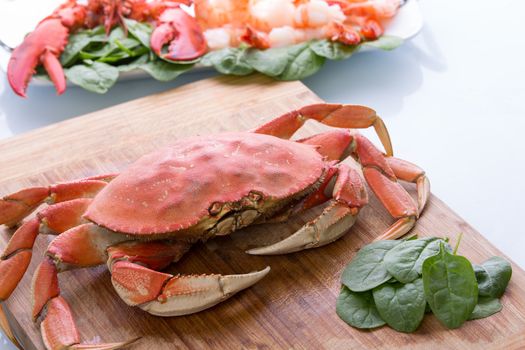 Prepearing dungenesscrab, red lobster and shrimps in the kitchen on the cutting board along with baby spinach