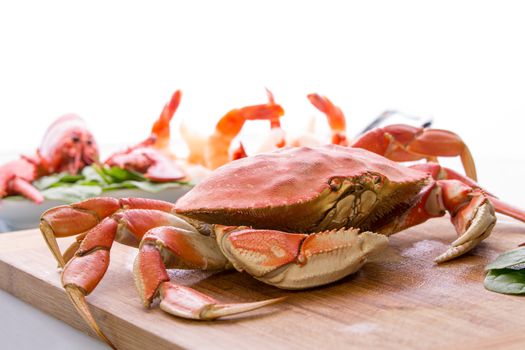 Prepearing dungenesscrab, red lobster and shrimps in the kitchen on the cutting board, copy space at the top