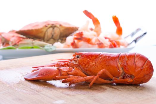 Prepearing dungenesscrab, red lobster and shrimps in the kitchen on the cutting board, copy space at the top