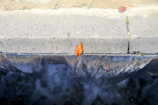 Orange Leaf on a Blue Waterfall on a Sunny Day